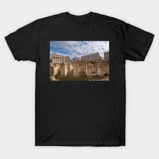 Roman amphitheater in Lecce, Italy T-Shirt